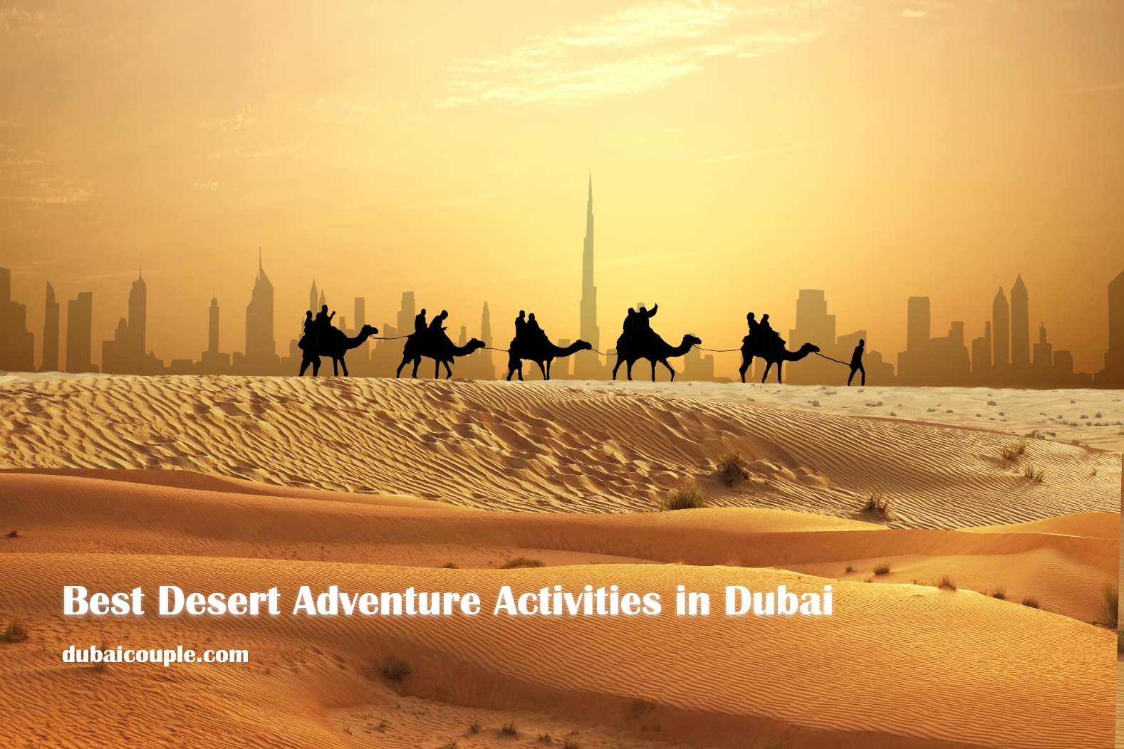 Dubai activities adventure outdoor skydive sky diving review catch52 things